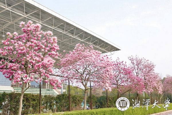 开发演示文稿：所谓校训，原本是学校校长讲话中的关键词语，因为既有底蕴又有实效，所以被一代一代的教师和学子传递下去，时间一长，就成了约定俗成的话语。这就是校训。校训既能用来激励和劝勉教师和学子们，同时也能体现学校的办学原则与目标。